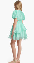 Load image into Gallery viewer, Girls: Joyous Minty Organza Party Dress