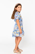 Load image into Gallery viewer, Buddy Love Girls: Clementine Painted Lady Dress
