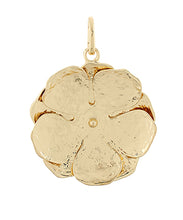 Load image into Gallery viewer, Charm Pendants for Scarf Necklace
