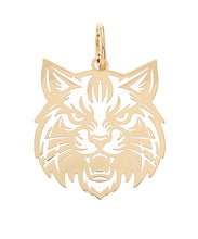 Load image into Gallery viewer, Charm Pendants for Scarf Necklace
