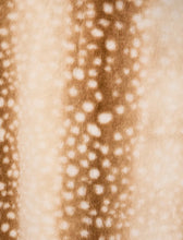 Load image into Gallery viewer, Fawn Faux Fur Coat

